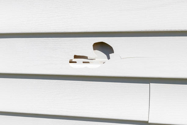 Best Property Management Cleanouts  in Antwerp, OH